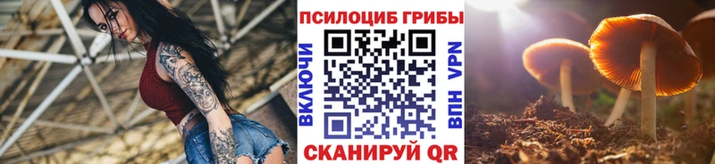 Псилоцибиновые грибы мухоморы продажа наркотиков Когалым